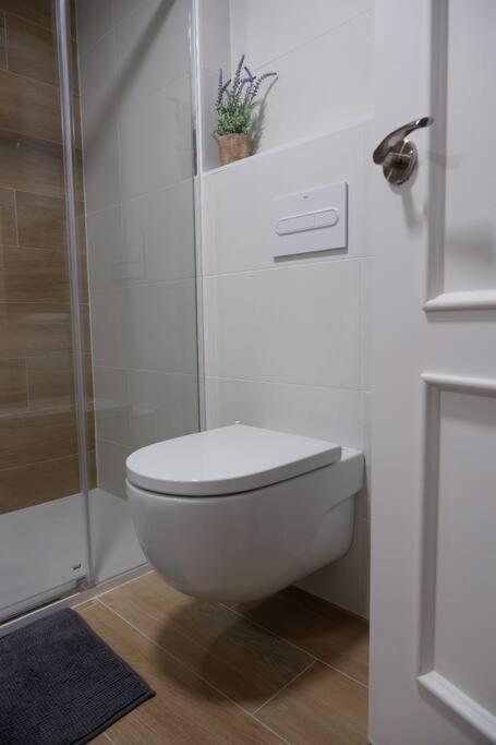 Amplio Apartamento Con Piscina Al Lado De La Playa Platja d'Aro Luaran gambar